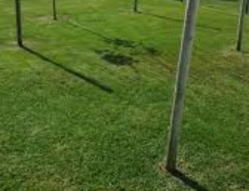 Mantenimiento integral de comunidades